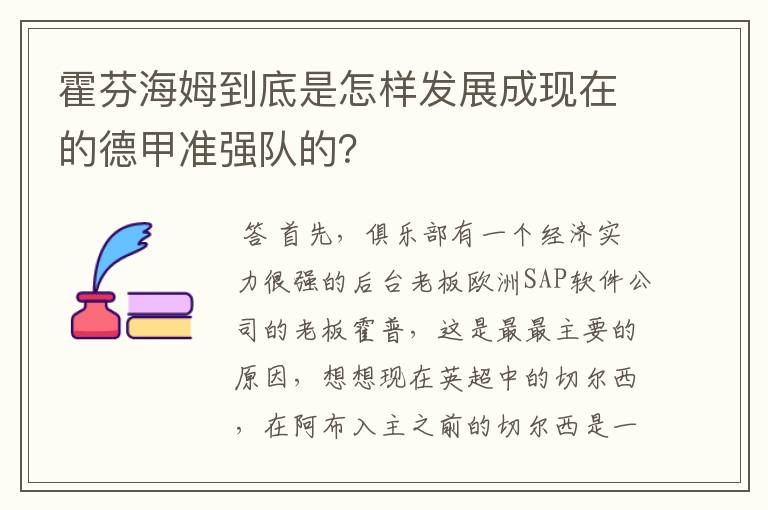霍芬海姆到底是怎样发展成现在的德甲准强队的?