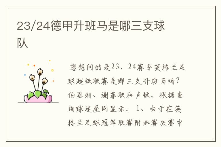 23/24德甲升班马是哪三支球队