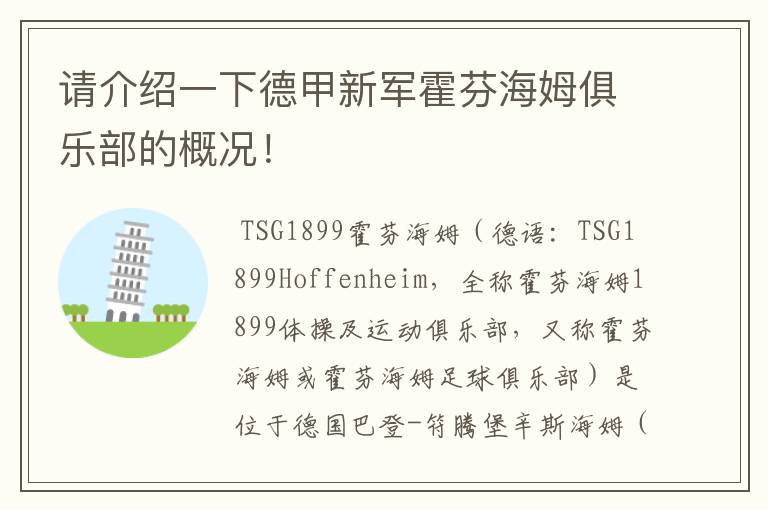 请介绍一下德甲新军霍芬海姆俱乐部的概况!