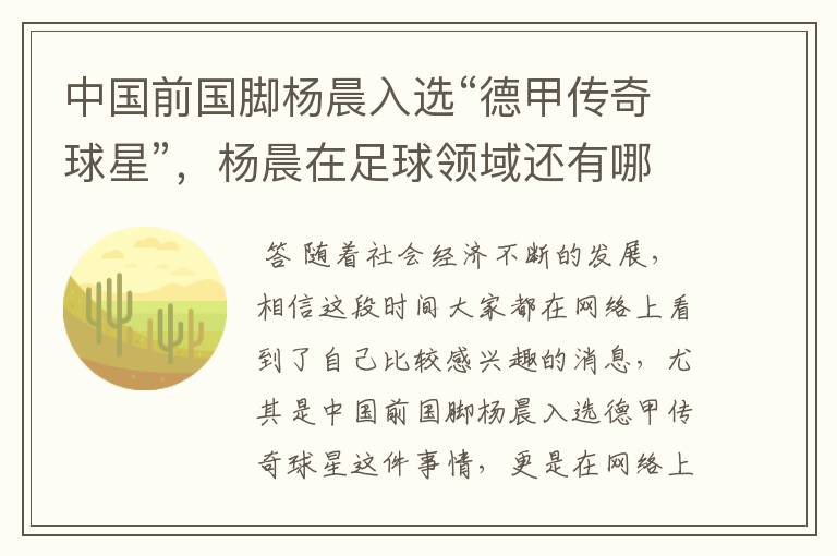 中国前国脚杨晨入选“德甲传奇球星”,杨晨在足球领域还有哪些成就?