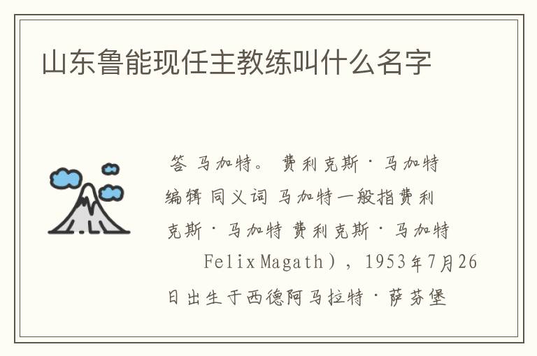 山东鲁能现任主教练叫什么名字