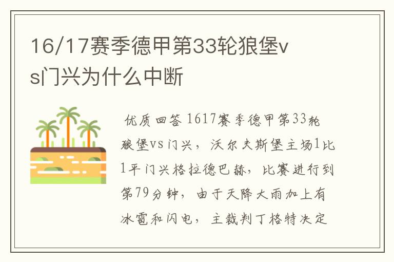 16/17赛季德甲第33轮狼堡vs门兴为什么中断