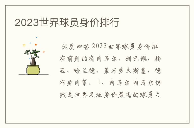2023世界球员身价排行