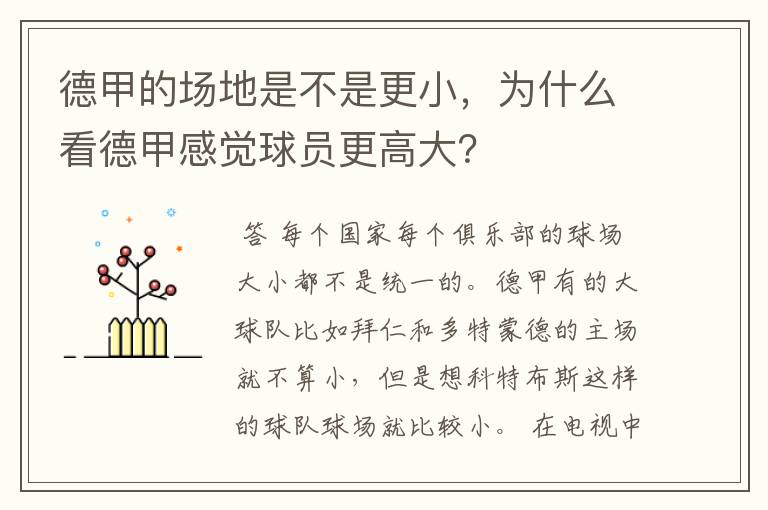 德甲的场地是不是更小,为什么看德甲感觉球员更高大?