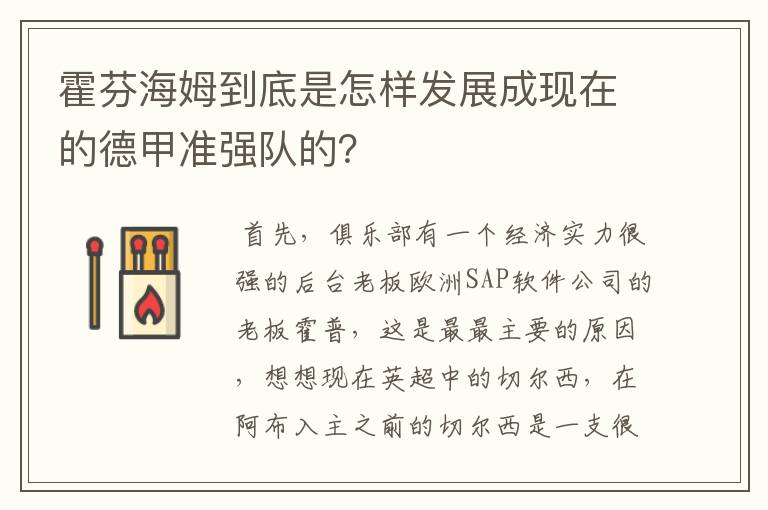 霍芬海姆到底是怎样发展成现在的德甲准强队的?