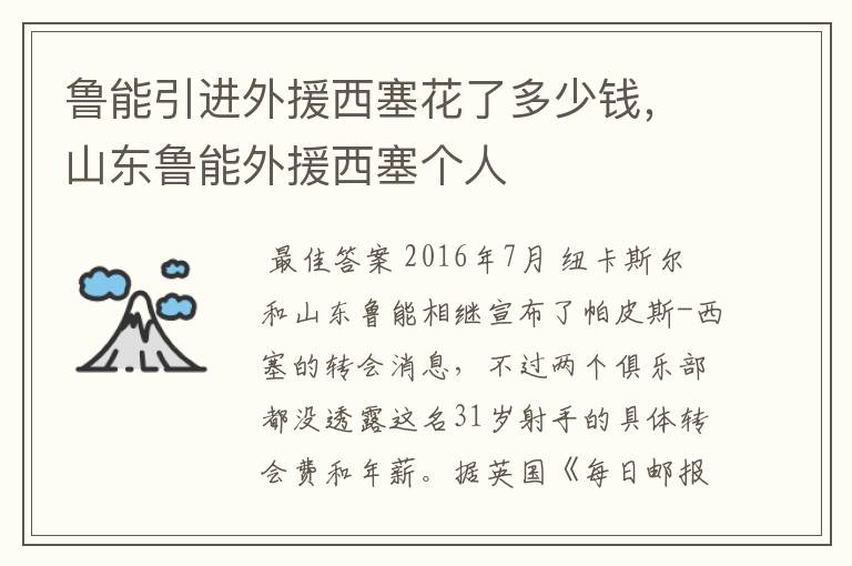 鲁能引进外援西塞花了多少钱,山东鲁能外援西塞个人