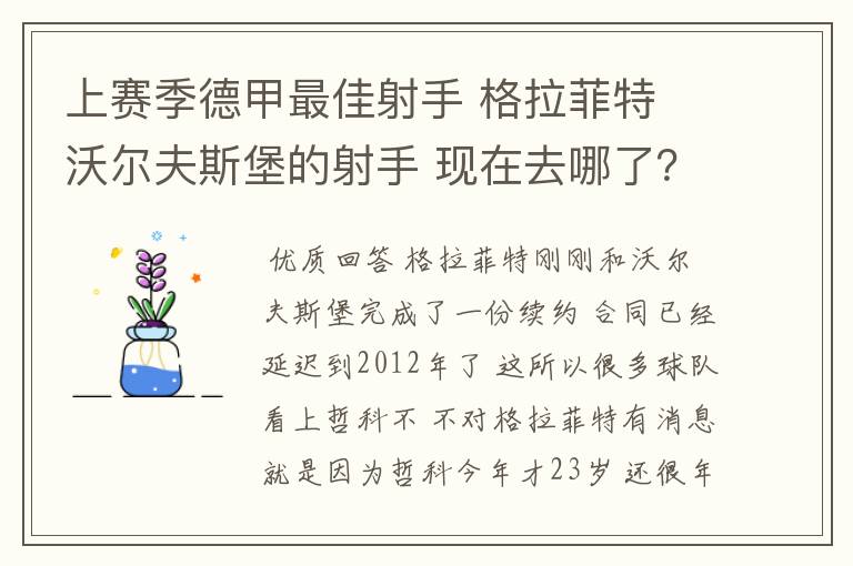 上赛季德甲最佳射手 格拉菲特 沃尔夫斯堡的射手 现在去哪了?