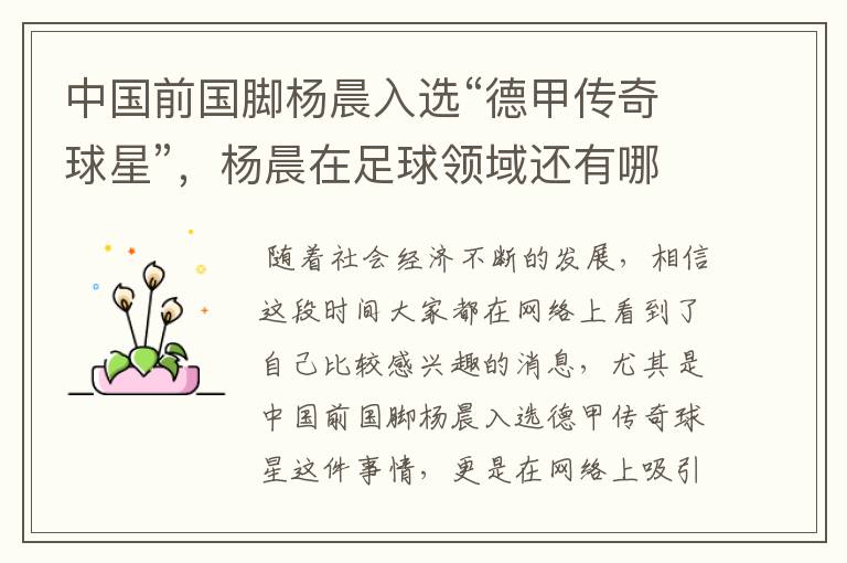 中国前国脚杨晨入选“德甲传奇球星”,杨晨在足球领域还有哪些成就?