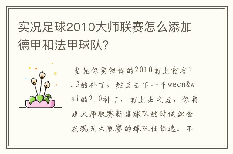 实况足球2010大师联赛怎么添加德甲和法甲球队?
