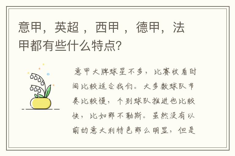 意甲,英超 ,西甲 ,德甲,法甲都有些什么特点?