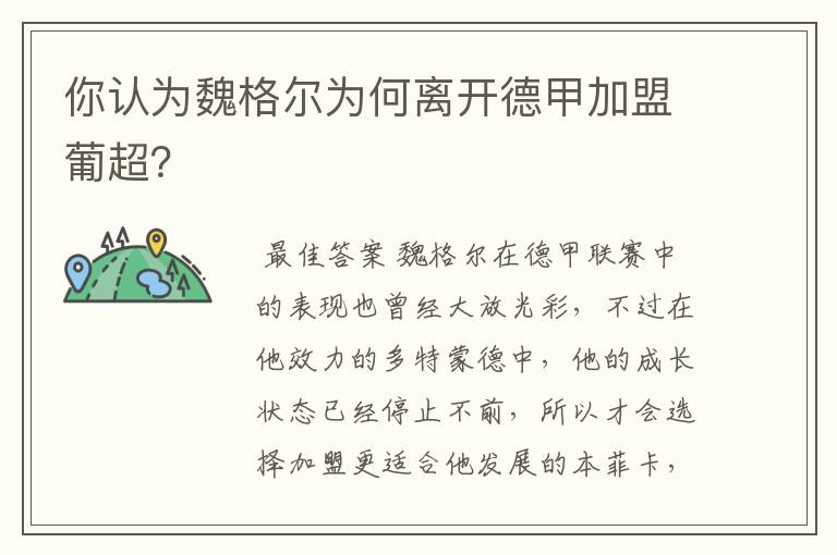 你认为魏格尔为何离开德甲加盟葡超?