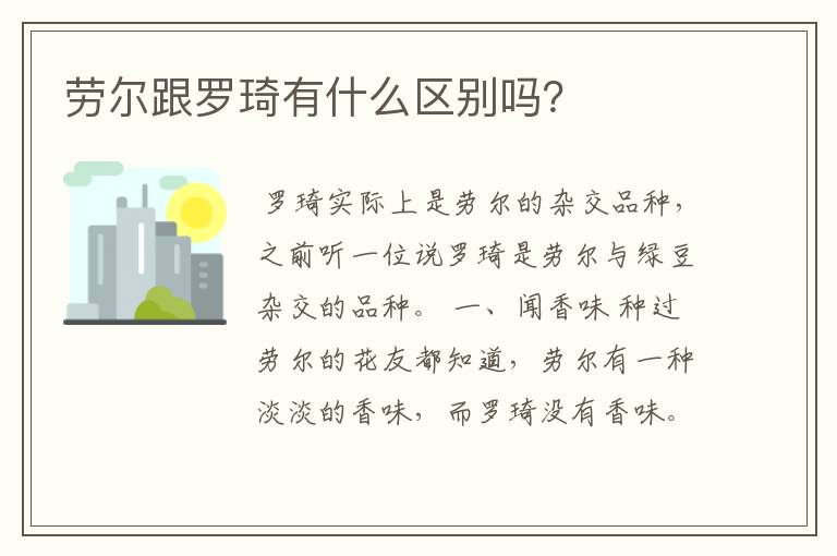 劳尔跟罗琦有什么区别吗？