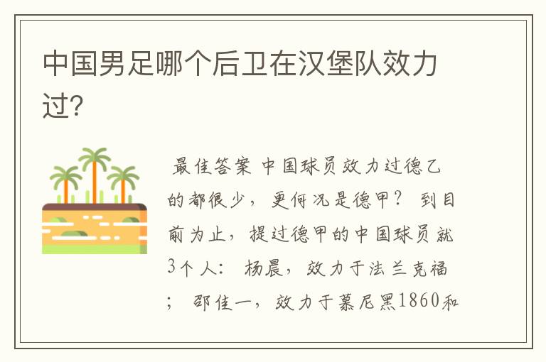 中国男足哪个后卫在汉堡队效力过?