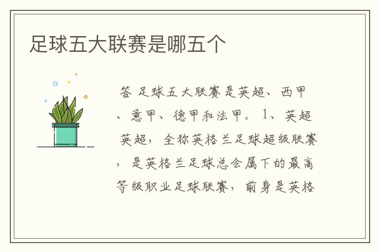 足球五大联赛是哪五个