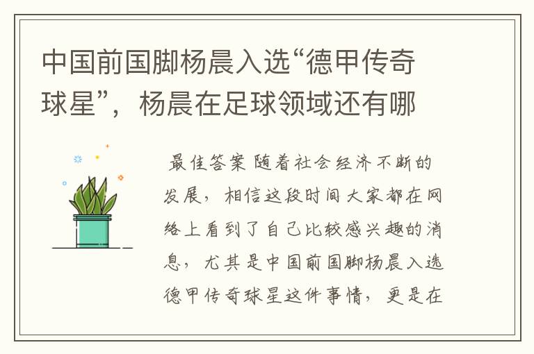 中国前国脚杨晨入选“德甲传奇球星”,杨晨在足球领域还有哪些成就?