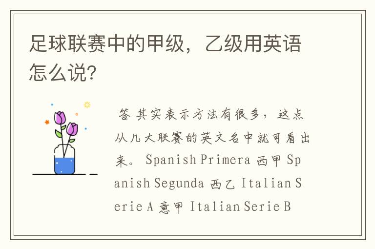 足球联赛中的甲级,乙级用英语怎么说?