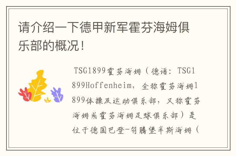请介绍一下德甲新军霍芬海姆俱乐部的概况!