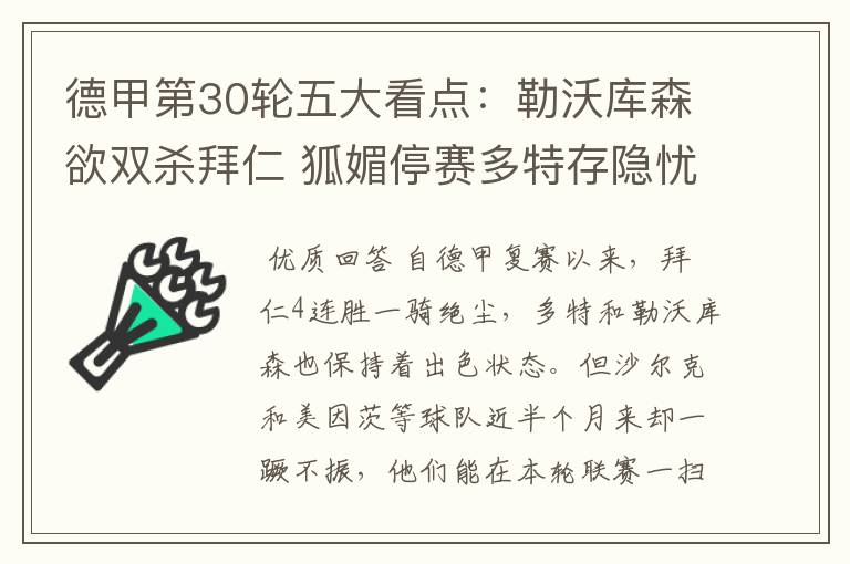 德甲第30轮五大看点:勒沃库森欲双杀拜仁 狐媚停赛多特存隐忧