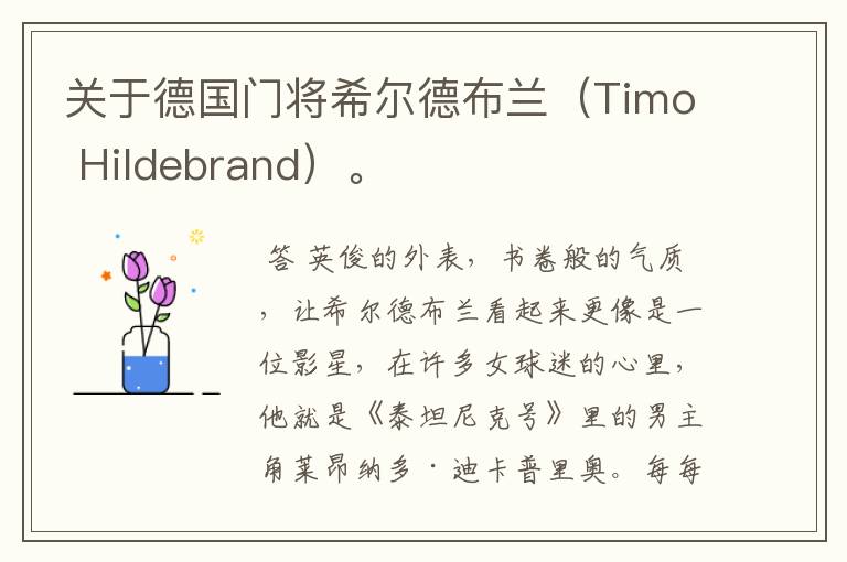 关于德国门将希尔德布兰(Timo Hildebrand)。