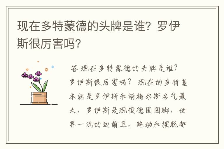 现在多特蒙德的头牌是谁?罗伊斯很厉害吗?