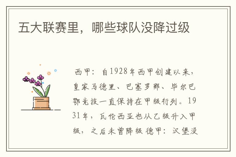 五大联赛里,哪些球队没降过级