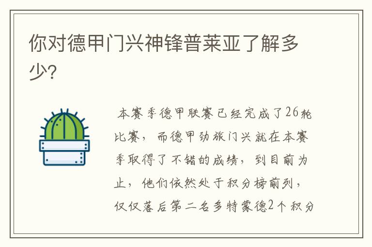 你对德甲门兴神锋普莱亚了解多少?