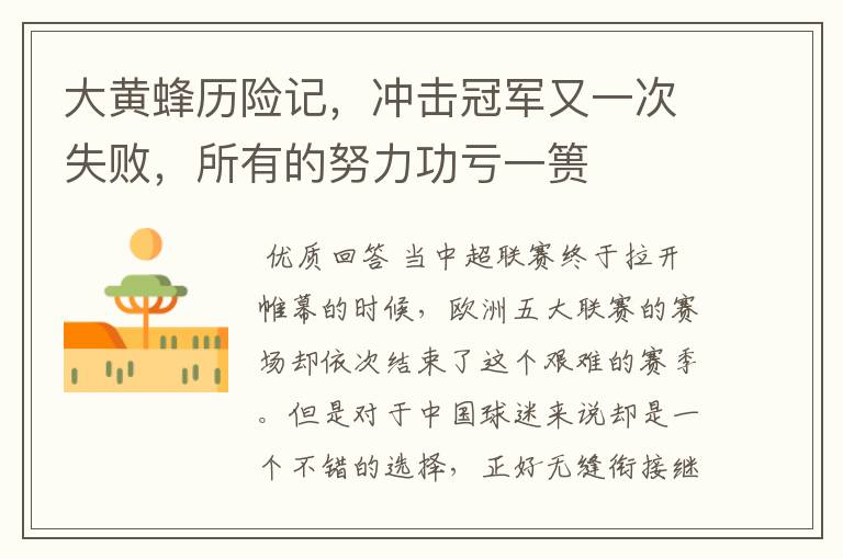 大黄蜂历险记,冲击冠军又一次失败,所有的努力功亏一篑