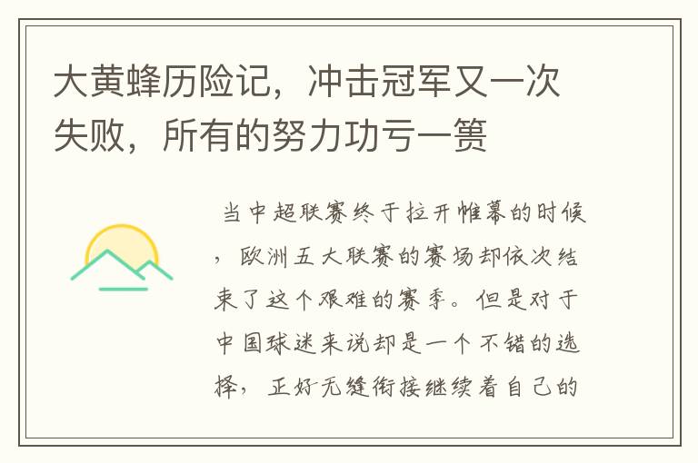 大黄蜂历险记,冲击冠军又一次失败,所有的努力功亏一篑