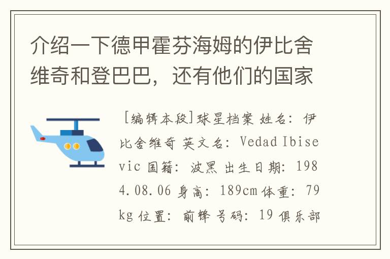 介绍一下德甲霍芬海姆的伊比舍维奇和登巴巴,还有他们的国家队履历