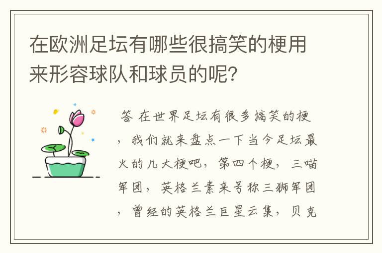 在欧洲足坛有哪些很搞笑的梗用来形容球队和球员的呢?