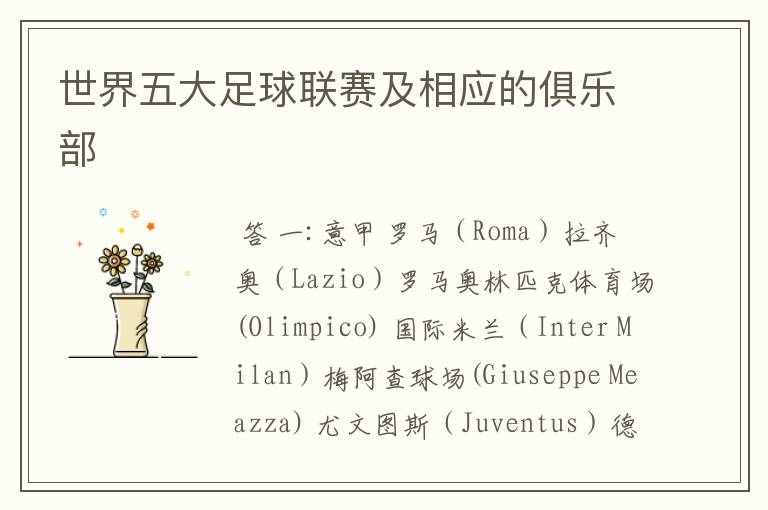 世界五大足球联赛及相应的俱乐部