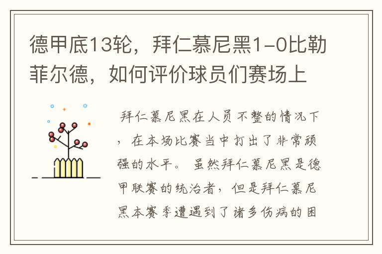 德甲底13轮,拜仁慕尼黑1-0比勒菲尔德,如何评价球员们赛场上的表现?