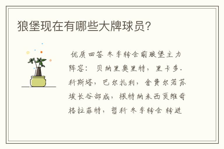 狼堡现在有哪些大牌球员?