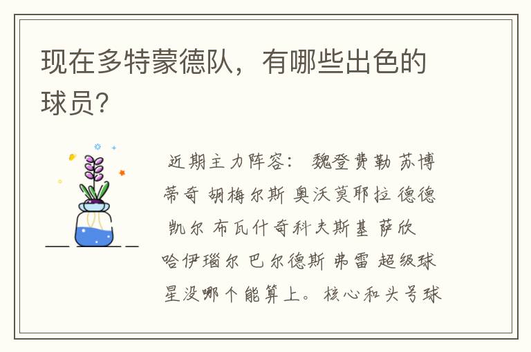 现在多特蒙德队,有哪些出色的球员?