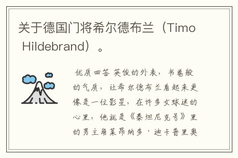 关于德国门将希尔德布兰(Timo Hildebrand)。