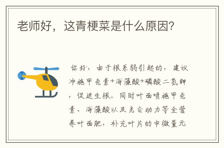 老师好,这青梗菜是什么原因?
