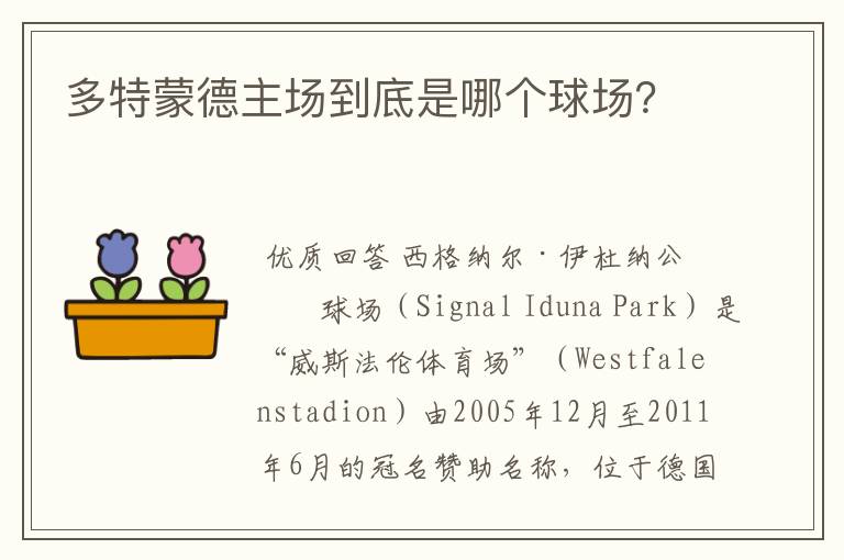 多特蒙德主场到底是哪个球场?