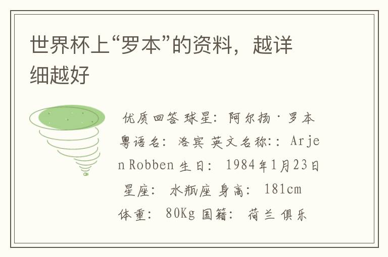 世界杯上“罗本”的资料,越详细越好