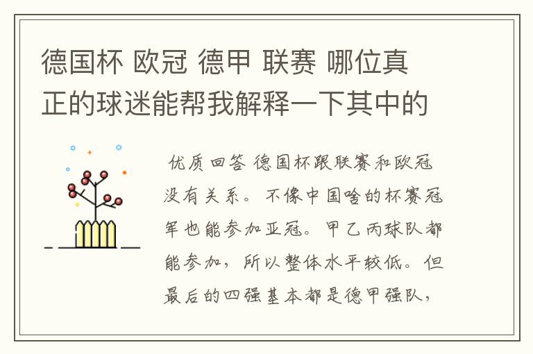 德国杯 欧冠 德甲 联赛 哪位真正的球迷能帮我解释一下其中的关系吗?