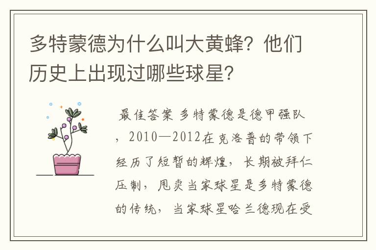 多特蒙德为什么叫大黄蜂?他们历史上出现过哪些球星?