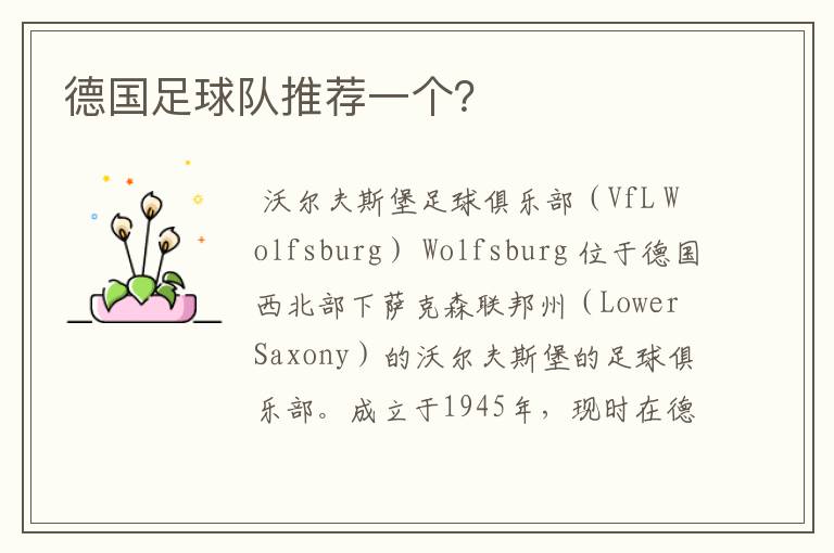 德国足球队推荐一个?