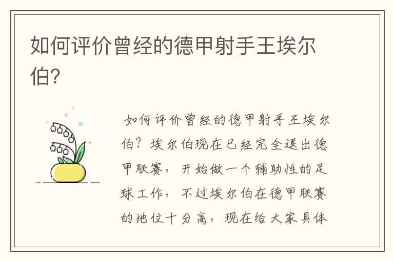 如何评价曾经的德甲射手王埃尔伯?