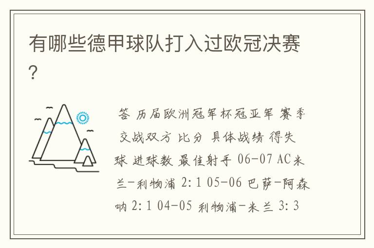 有哪些德甲球队打入过欧冠决赛?
