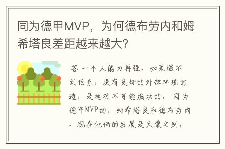 同为德甲MVP,为何德布劳内和姆希塔良差距越来越大?