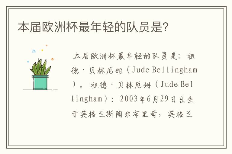 本届欧洲杯最年轻的队员是?