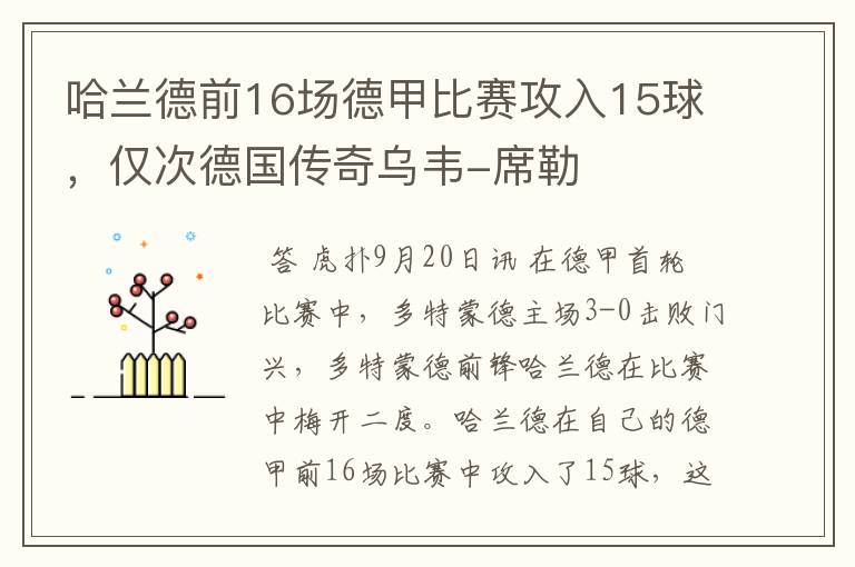 哈兰德前16场德甲比赛攻入15球,仅次德国传奇乌韦-席勒