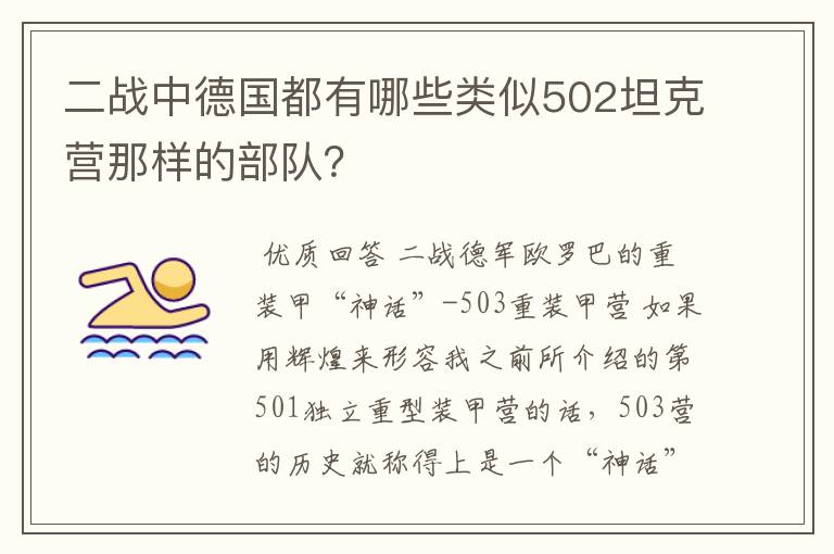 二战中德国都有哪些类似502坦克营那样的部队？