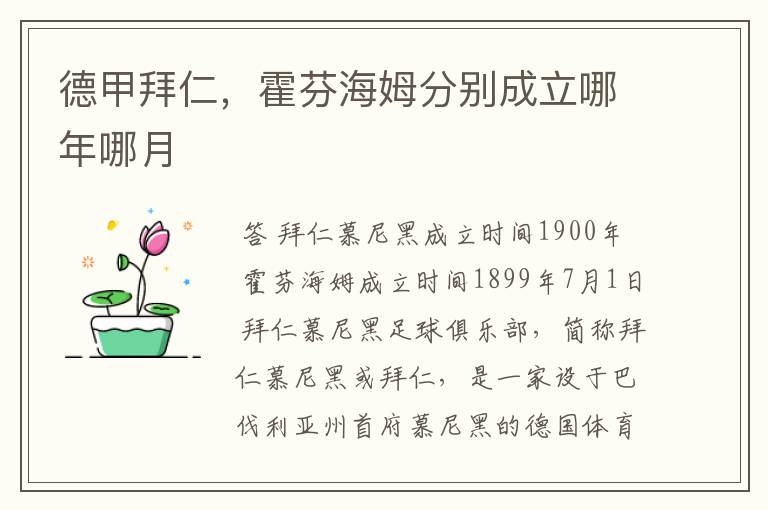 德甲拜仁,霍芬海姆分别成立哪年哪月