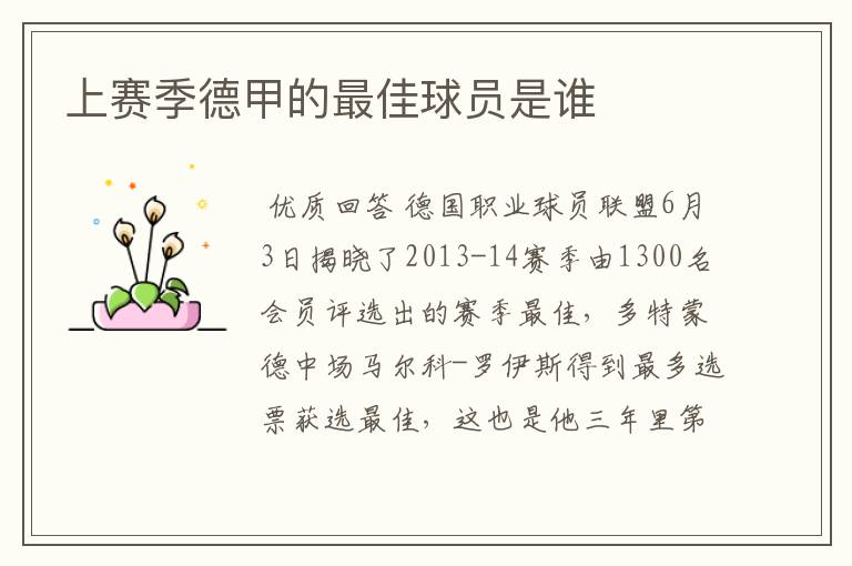 上赛季德甲的最佳球员是谁
