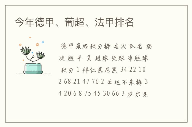 今年德甲、葡超、法甲排名
